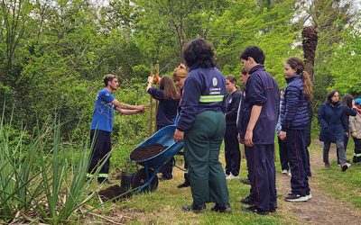 CANELONES AVANZA EN  EL PLAN DE RESTAURACIÓN ECOLÓGICA 