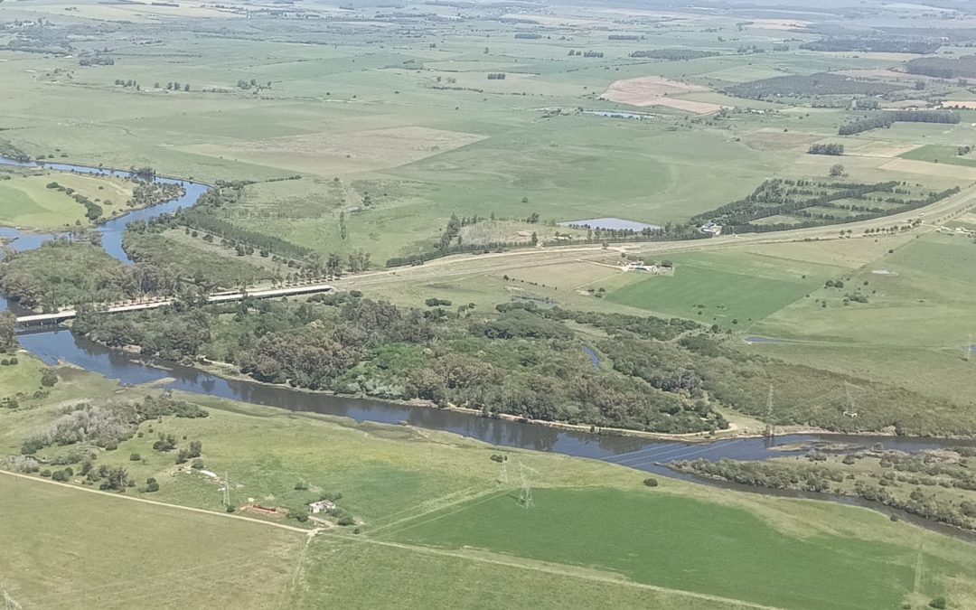 AGENDA AMBIENTAL DE CANELONES EN EL MES DE NOVIEMBRE Y DICIEMBRE 