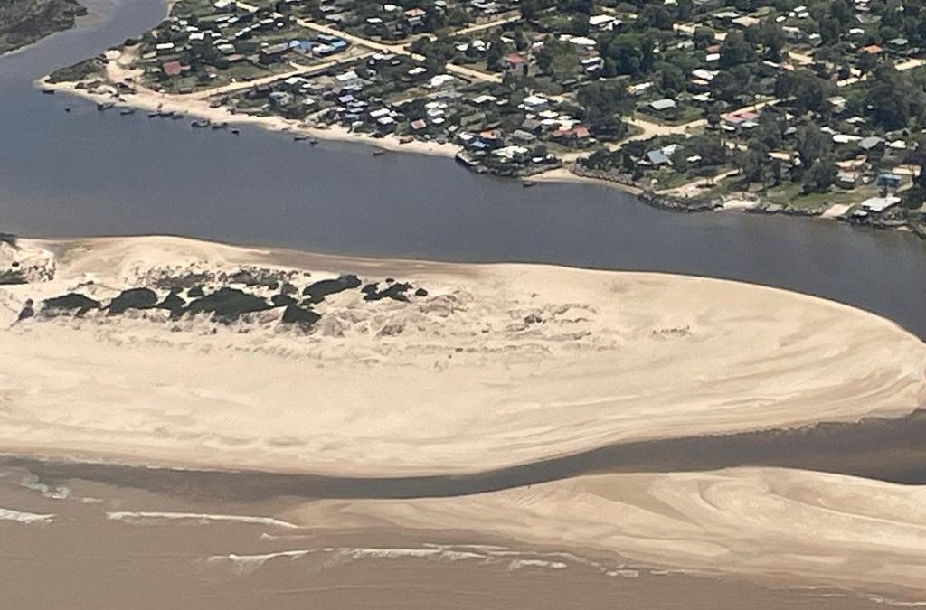 Sistema Integrado de Monitoreo de Aguas y Playas de Canelones