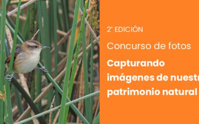 Se extiende plazo de presentación de la segunda edición del concurso de fotos “Capturando imágenes de nuestro patrimonio natural “