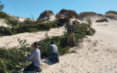 RESTAURACIÓN ECOLÓGICA EN GUAZUVIRÁ