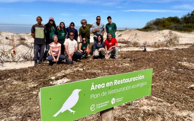 CANELONES AVANZA EN LA ZONA COSTERA CON EL PLAN DE RESTAURACIÓN ECOLÓGICA