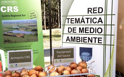 Canelones celebró el Día Nacional de la Agroecología