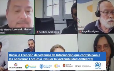 Hacia la Creación de Sistemas de Información que contribuyan a los Gobiernos Locales a Evaluar la Sostenibilidad Ambiental