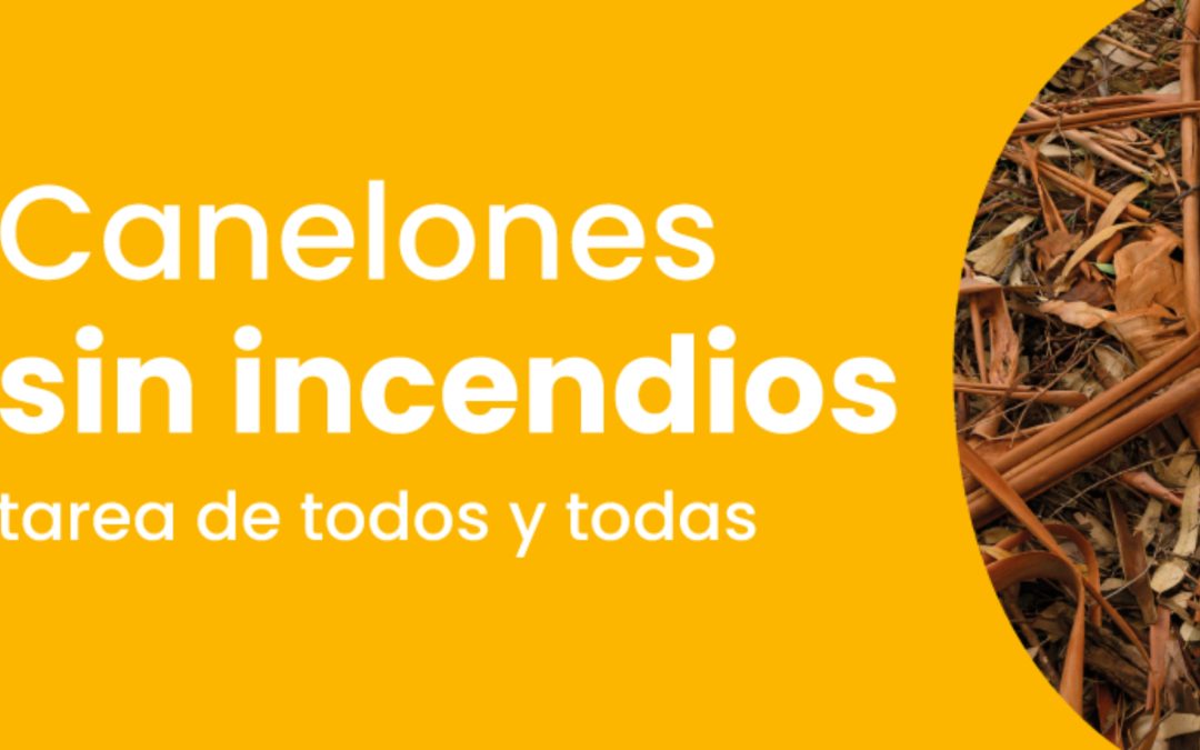 CAMPAÑA PREVENCIÓN DE INCENDIOS