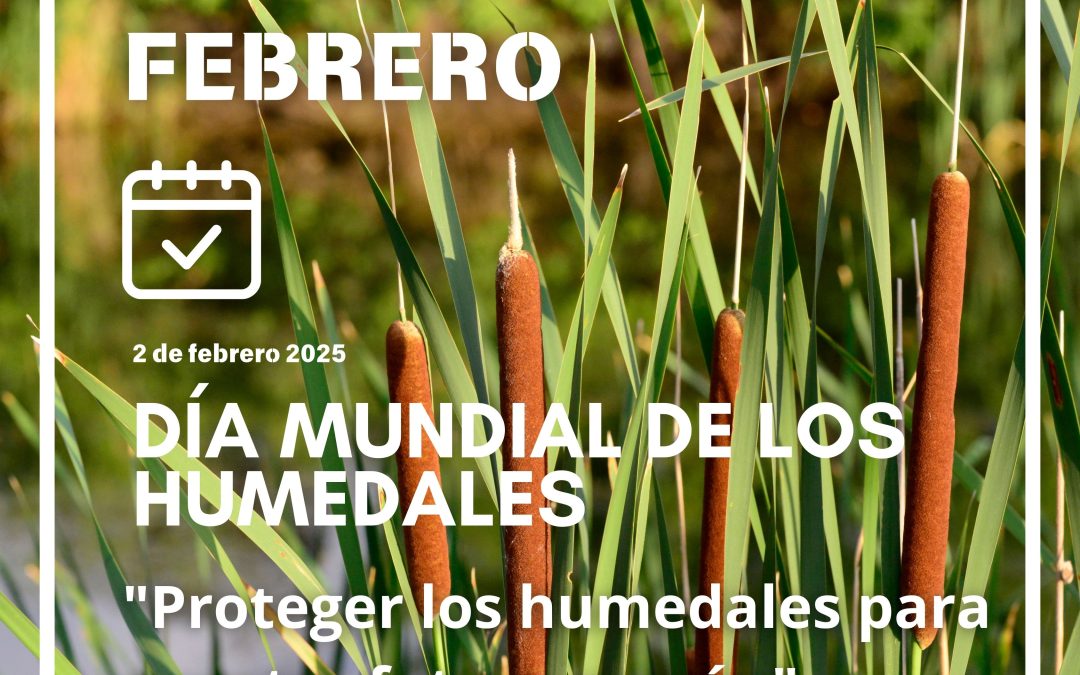 PROTEGER LOS HUMEDALES ES RELEVANTE PARA NUESTRO FUTURO COMÚN